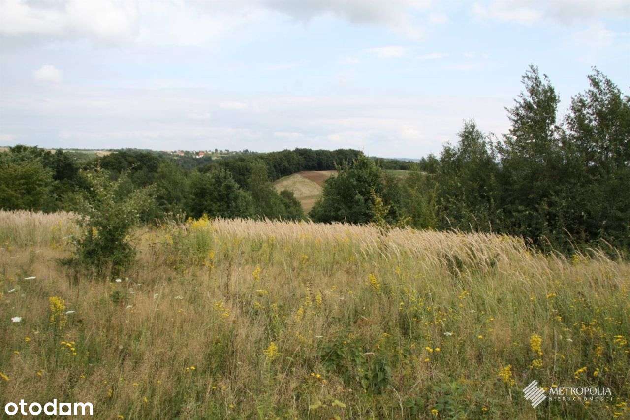 Biały Kościół | działki rolne - 1,9 ha-4