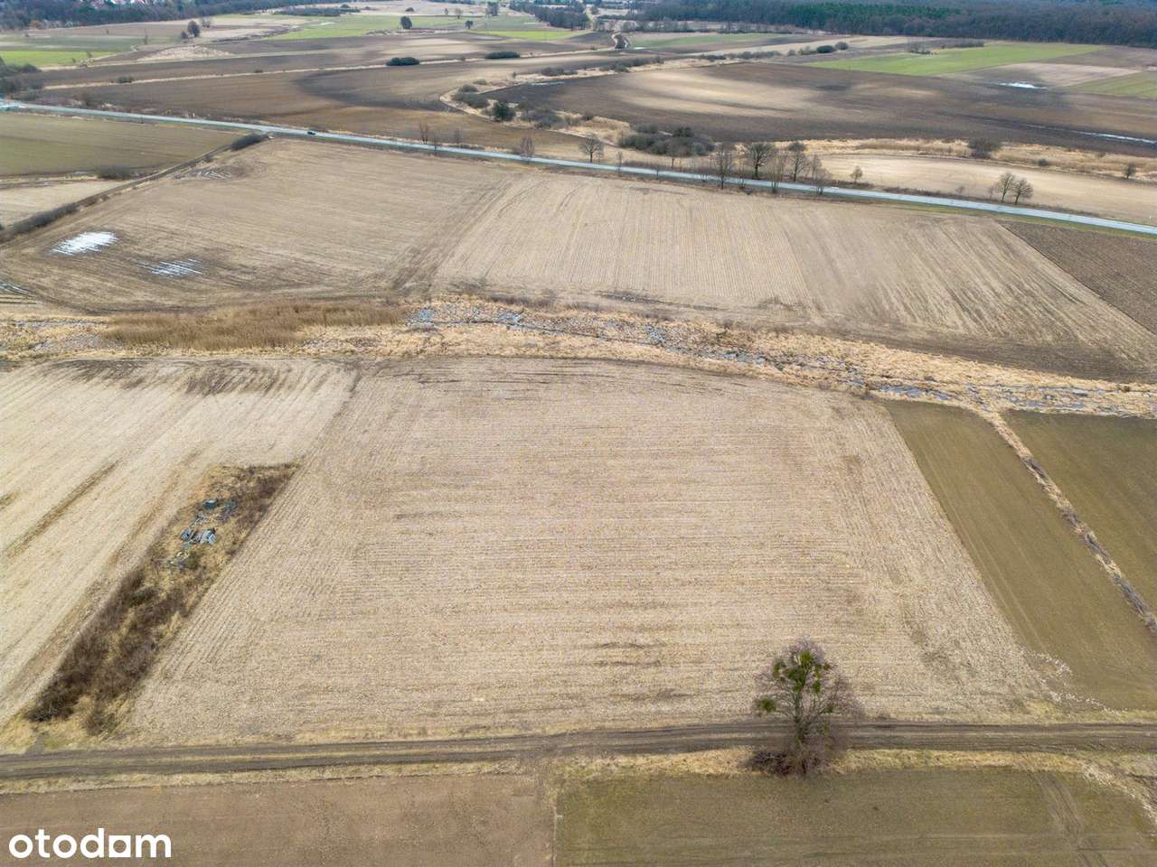 Działka Rolna 11 618 m2 pod Bystrzycą (Oława)-3