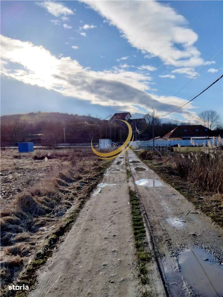 TEREN 1050 MP STR VOINICENILOR-7