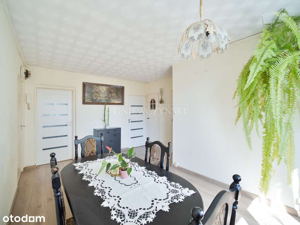 Okolice Magnolii - Zieleń | Balkon | COmiejskie-2