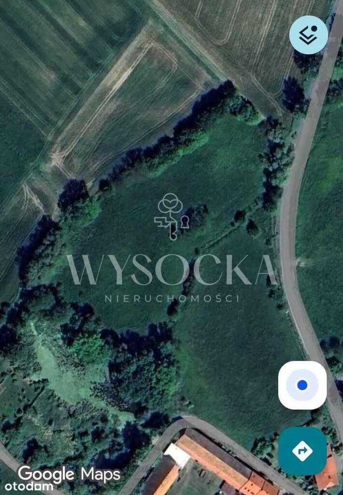 8/16392/OGS - Pełny obrazek: 3/3