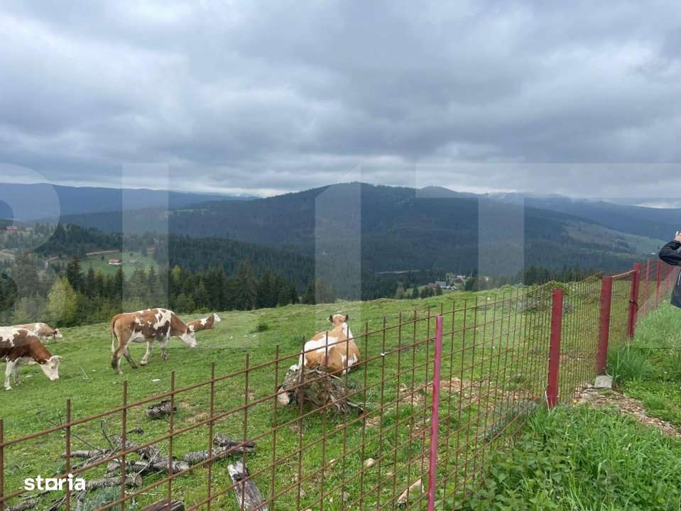 Ocazie! Casa de vacanta cu vedere la Lacul Belis - Imagine principală: 5/16