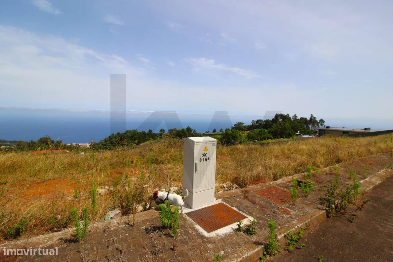 Lote com 1.501m2, declive suave, 320m2 de área de construção, orientaç - Grande imagem: 5/52