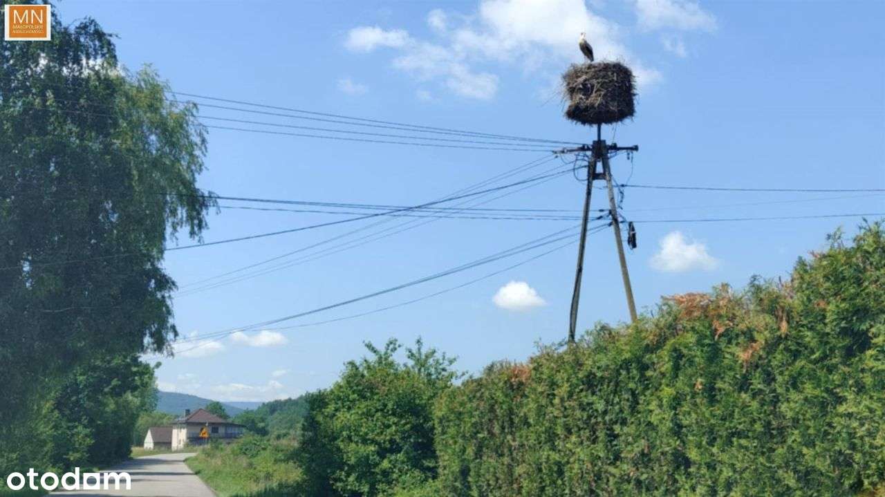 Koszyce,Rachwałowice,Działki 1,2142haRolne-5