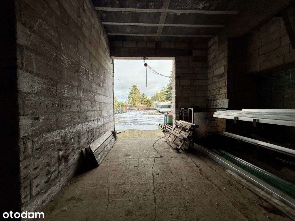 Hektarowa działka inwestycyjna w Toruniu - Pełny obrazek: 5/19