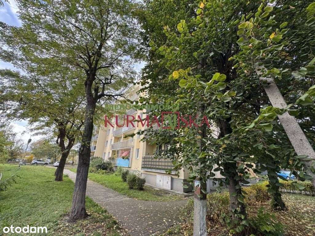 2 pokojowe Batorego - Pełny obrazek: 2/12