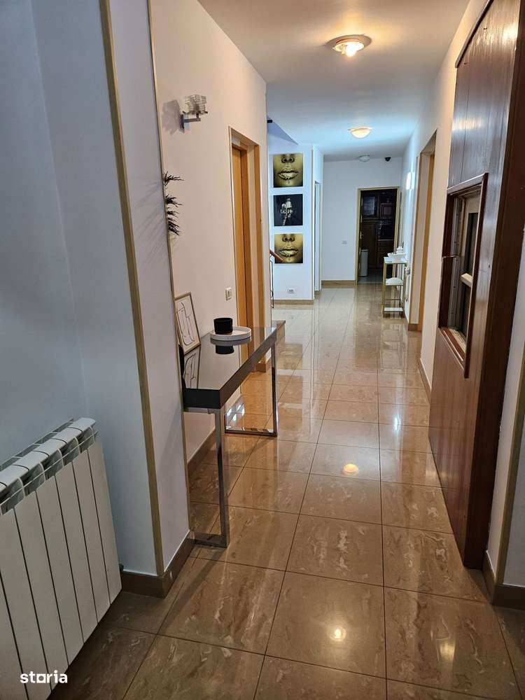 Vilă  deosebită D+P+1E+P/  garaj/curte/ Iancu Nicolae-19