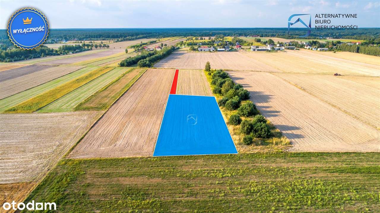 Inwestycyjna działka rolna w Rudce Kozłowieckiej - Pełny obrazek: 5/10