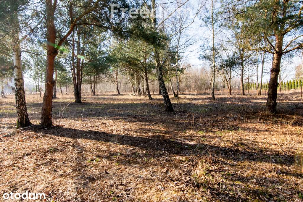 Działka budowlana w odległości 500m od trasy E7 - Pełny obrazek: 4/20