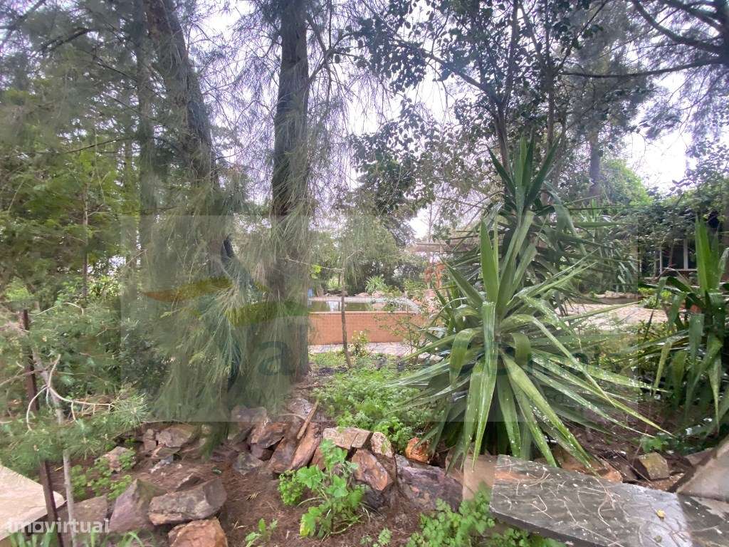 Quintinha de charme com 1,7 ha, capela privada e abundância de água...-31