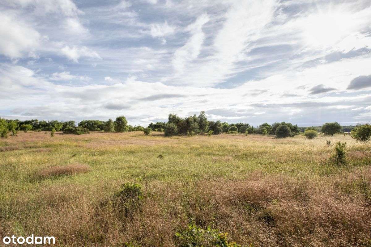 Działka w spokojnej okolicy 5 km od morza / Sarbsk - Pełny obrazek: 1/9