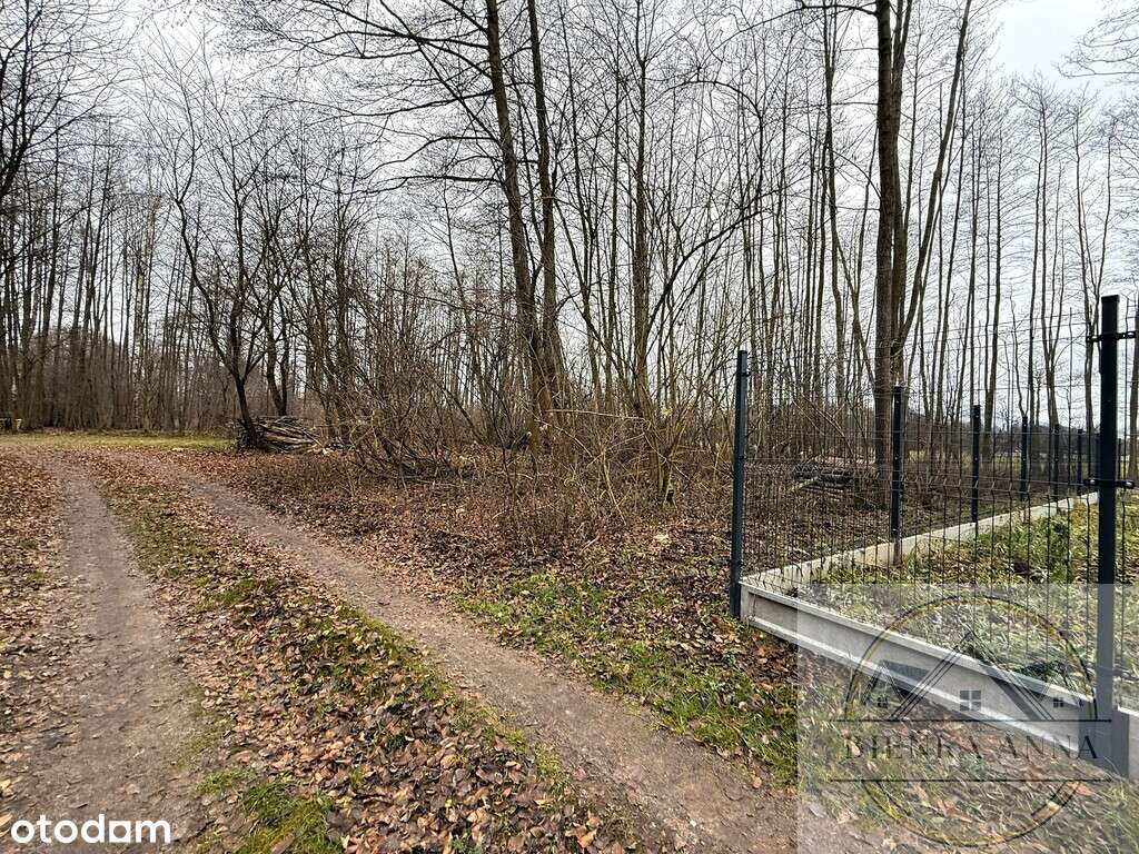 Działka na sprzedaż Mariew Stare Babice blisko las - Pełny obrazek: 3/7