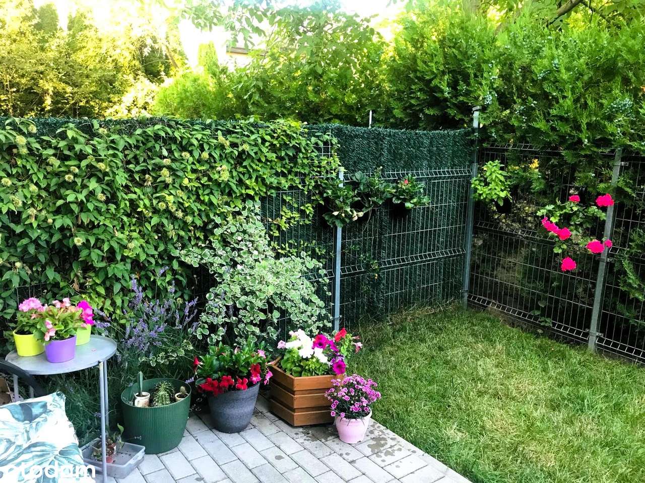 Śliczne trzy pokoje z ogródkiem !-15