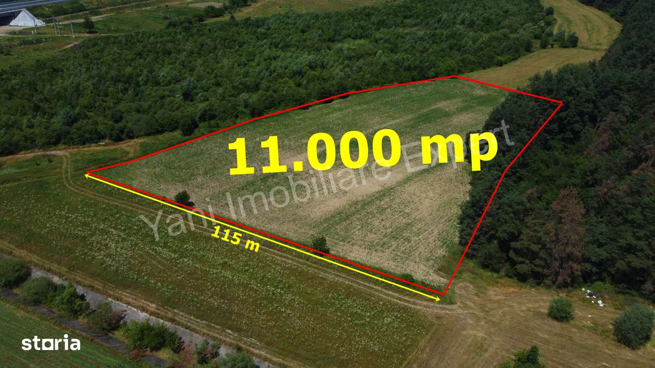 Teren de vânzare în comuna Băiculești, Judet Argeș ( 11.000 mp ) - Imagine principală: 1/12