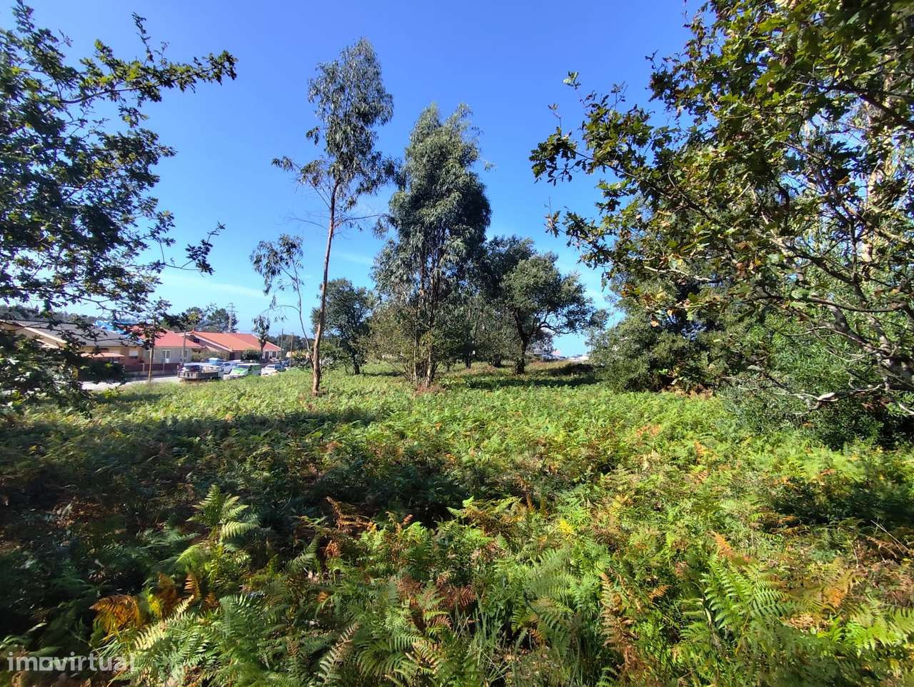 Terreno com PIP APROVADO para 16 Moradias! - Grande imagem: 5/13