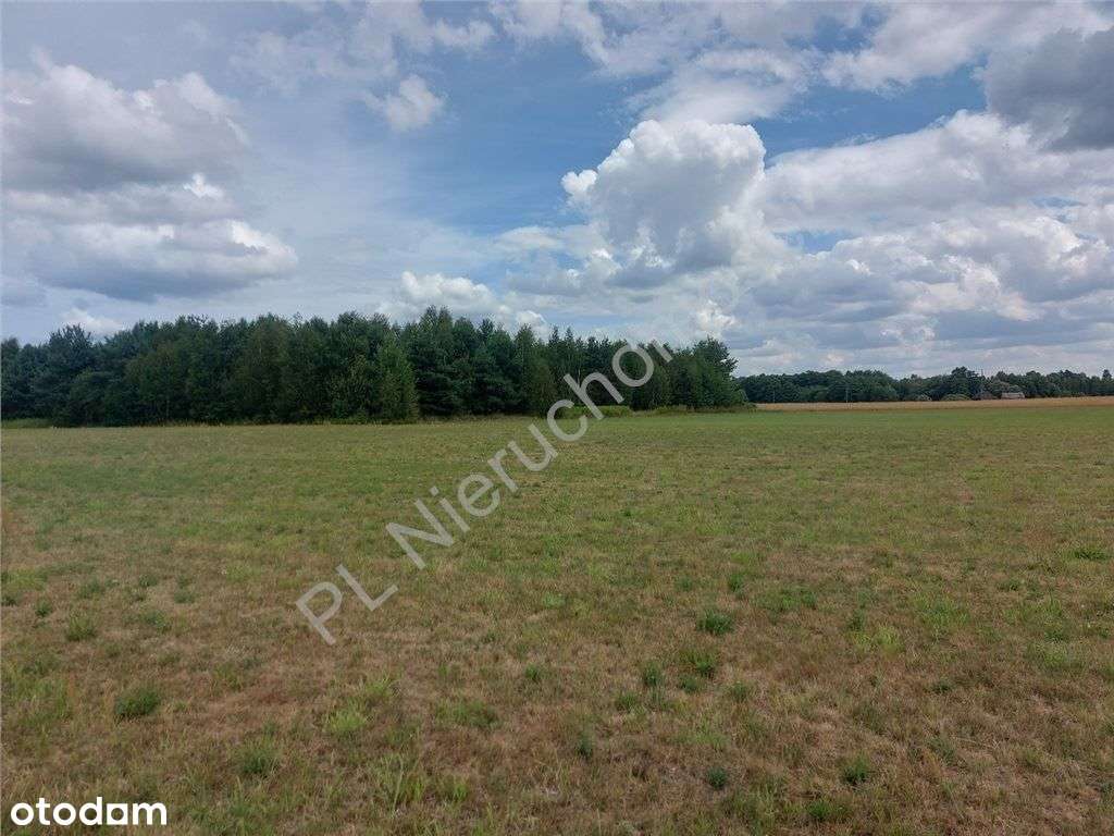 Działka Budowlana Blisko Lasu - Pełny obrazek: 5/7