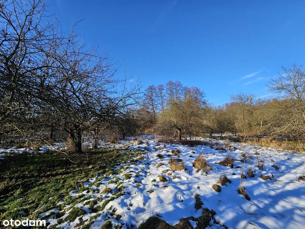 4 działki w łącznej cenie 390 000 zł. bez prowizji - Pełny obrazek: 5/7
