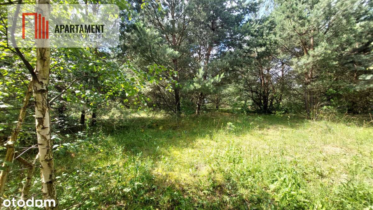 Piękne działki - Skórka - Pełny obrazek: 4/10