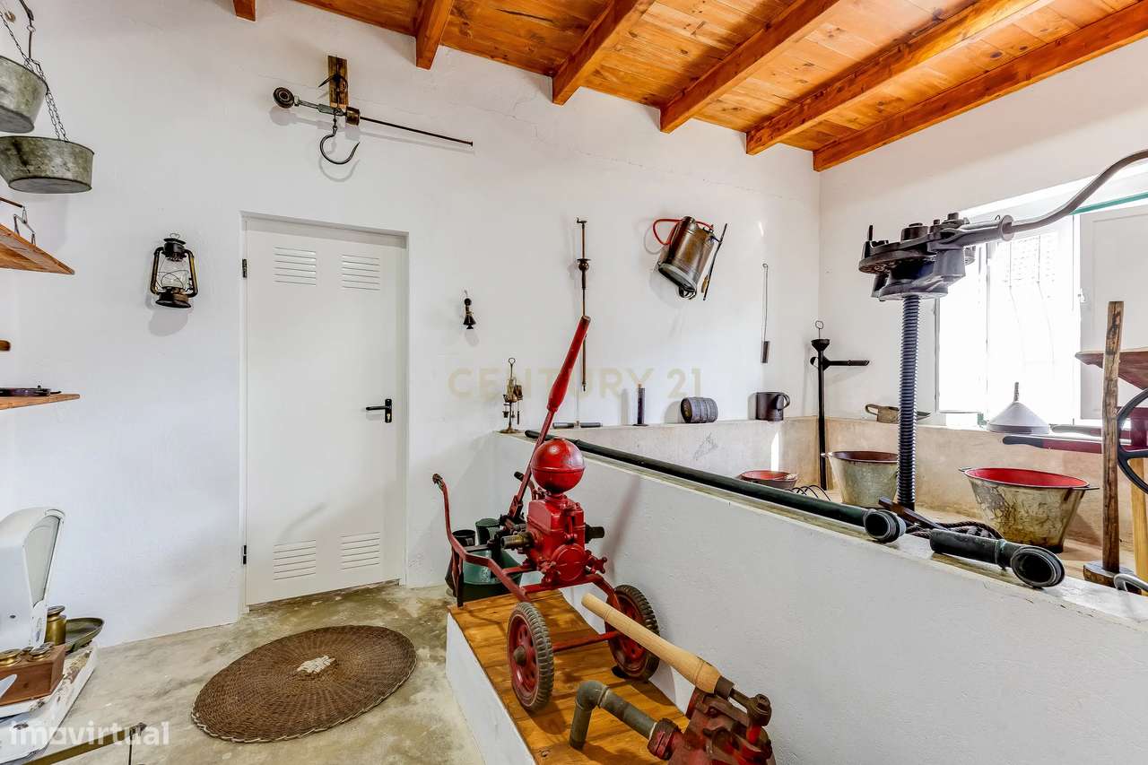 Moradia T4+T2  em Pombalinho, Golegã-20