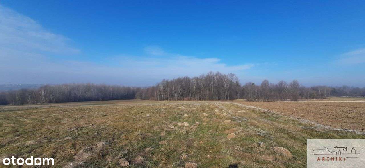 Zawada 60 arów ( ew. 1.20 ha), dojazd, rol-bud - Pełny obrazek: 4/14
