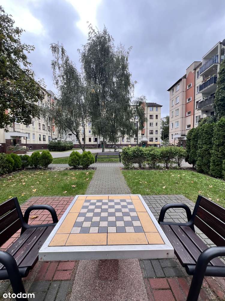 Piątkowo,Batorego,3 pokoje, do wprowadzenia w super lokalizacji-19