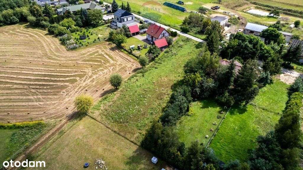 Duża działka przy Puszczy Zielonce - Pełny obrazek: 5/7