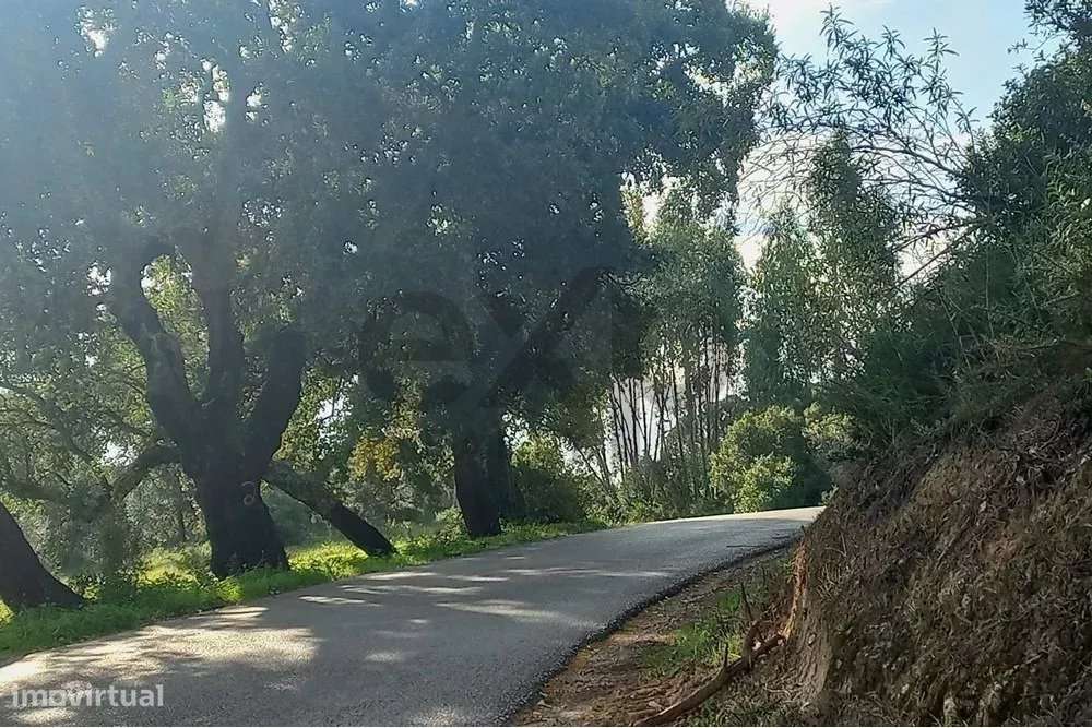 Terreno rústico com potencial de  implementação, de 60% a 70%. - Grande imagem: 5/28