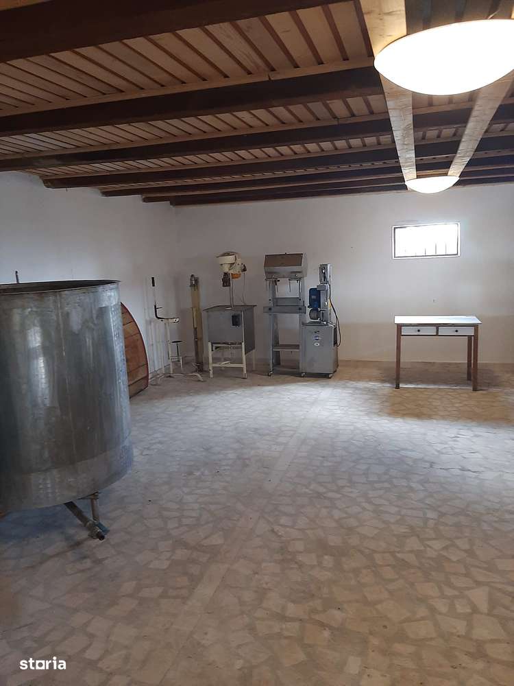 Afacere viticolă la cheie–cramă,linie îmbuteliere zonă viticolă de top - Imagine principală: 3/19