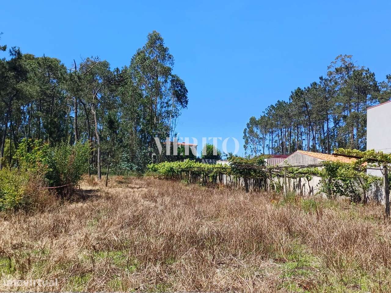 Terreno para construção de moradia individual em Cristelo, cidade de B - Grande imagem: 5/13