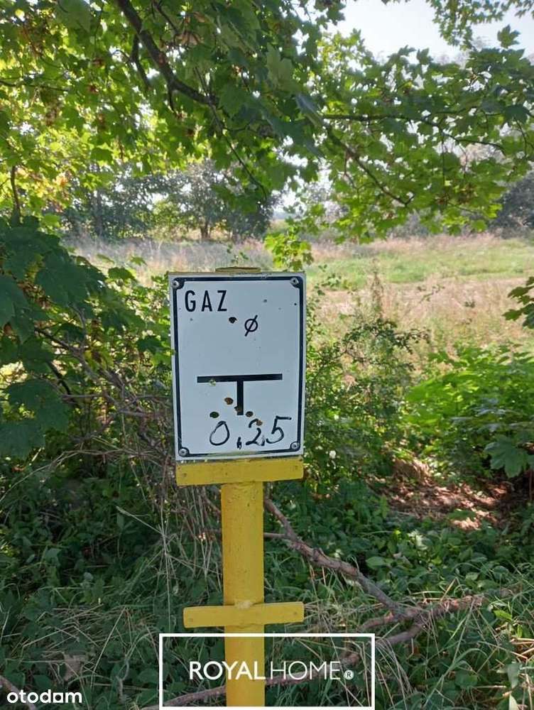 Działka na Wyspie Chrząszczewskiej 3001m² - Pełny obrazek: 4/6