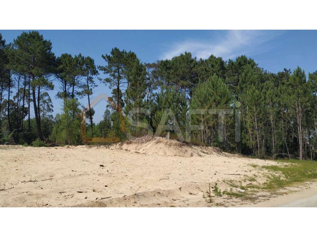 Terreno plano - Grande imagem: 3/10