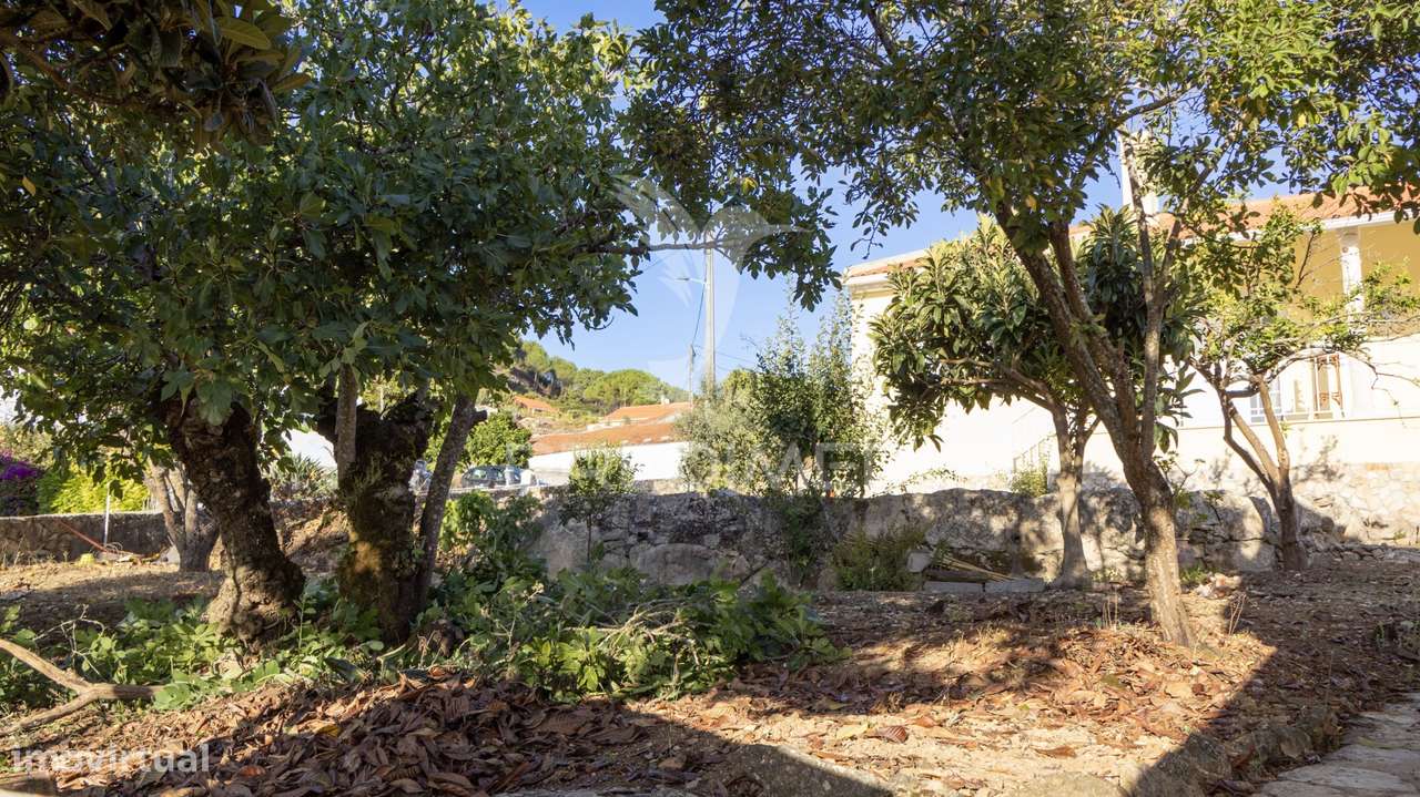 Moradia T2 a 5 minutos de Alcobaça - Grande imagem: 4/32