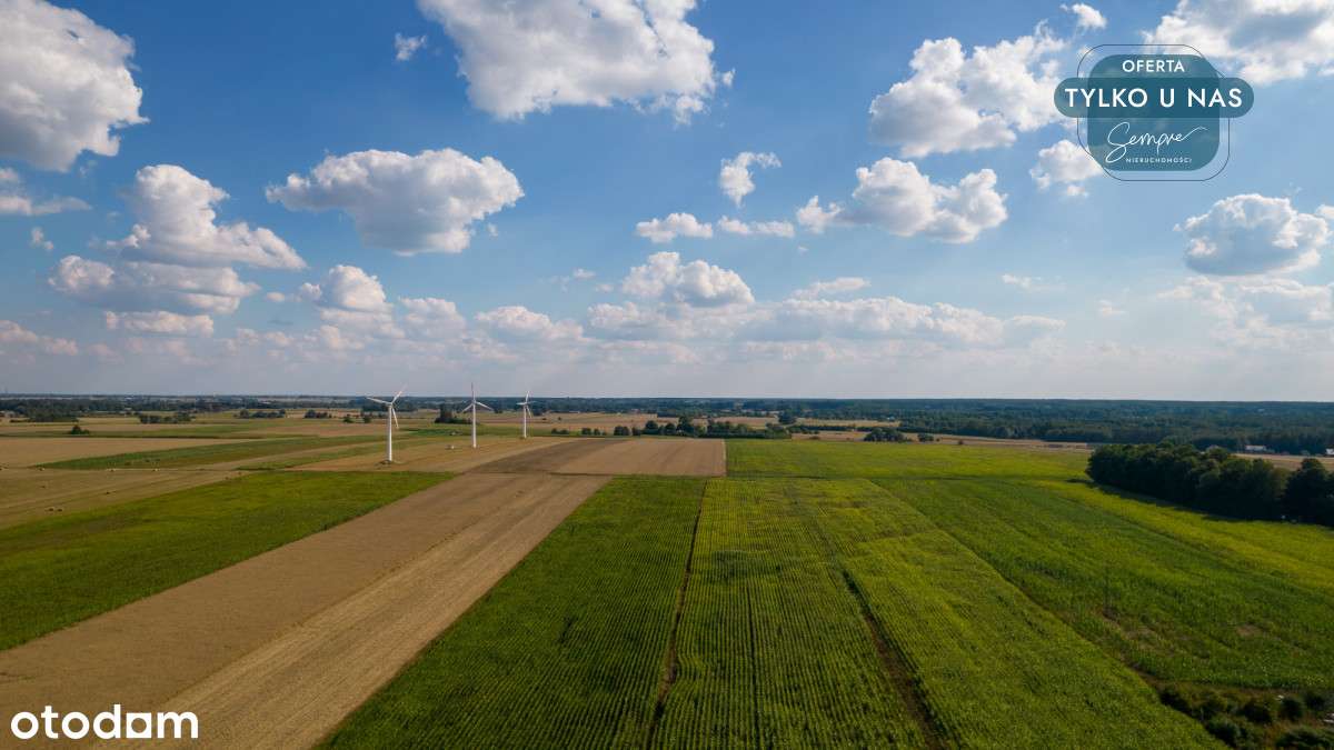 Nowa perspektywa - działka w Bechcicach Kolonii - Pełny obrazek: 5/5