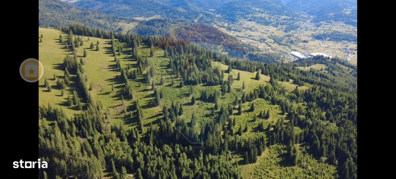 Teren 24,581mp Panaci / Strada Mihăileț - Imagine principală: 4/11