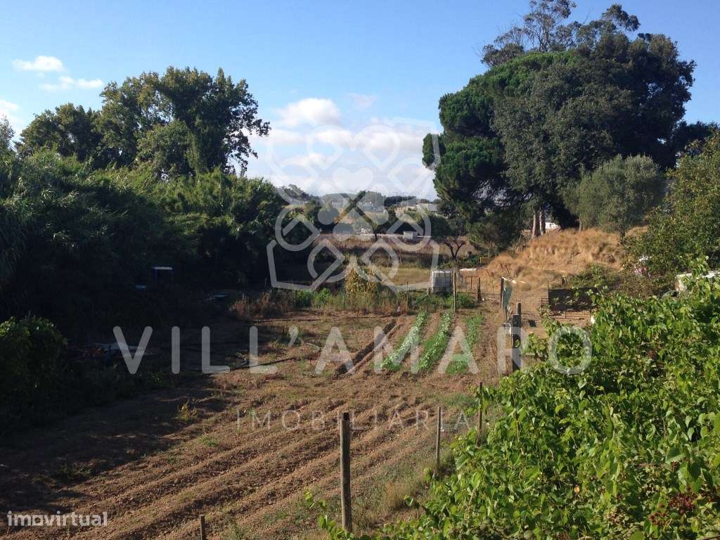 Terreno, rústico, na Póvoa da Galega - Grande imagem: 3/5