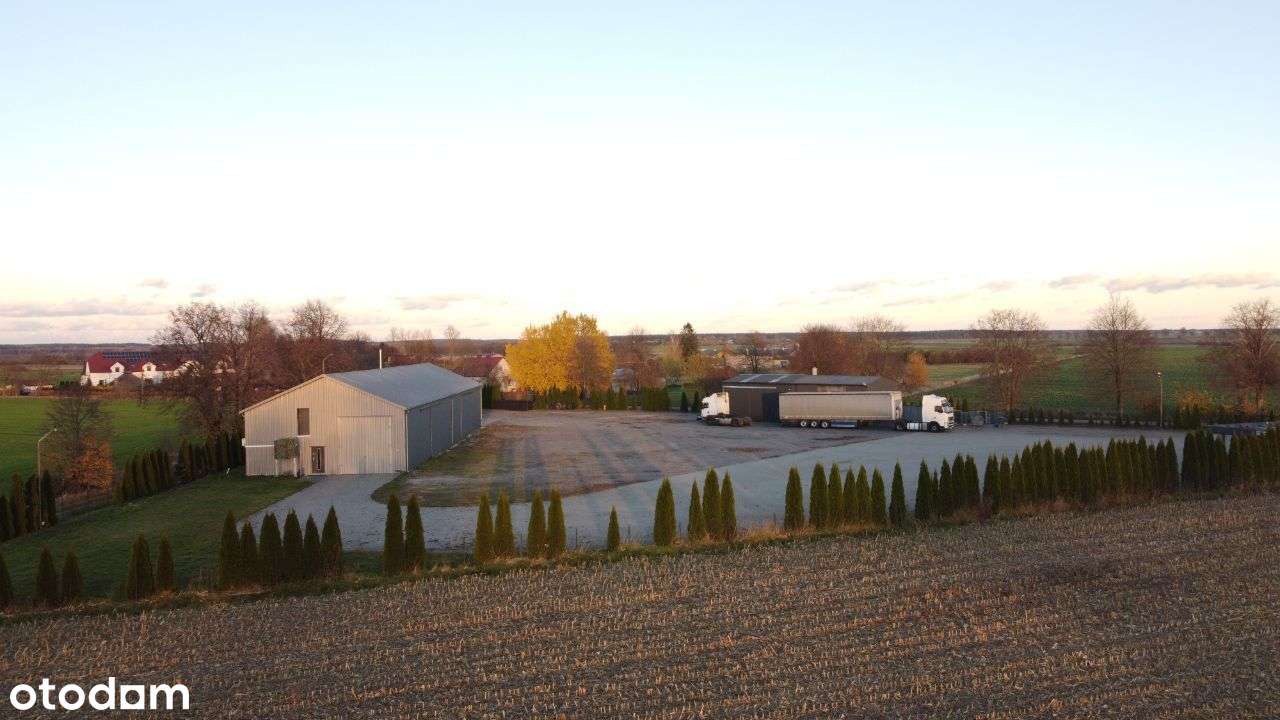 Hala Biuro Magazyn Warsztat Sklep Hurtownia Logist-12