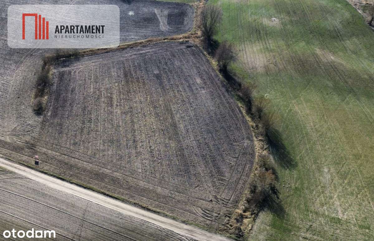 Tylko u nas! Działka pod zabudowę Bory Tucholskie - Pełny obrazek: 5/10