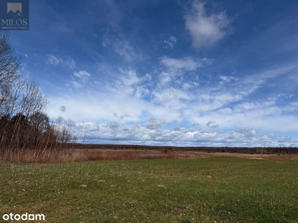 Duża, szeroka działka z WZ. Okazja inwestycyjna! - Pełny obrazek: 3/7