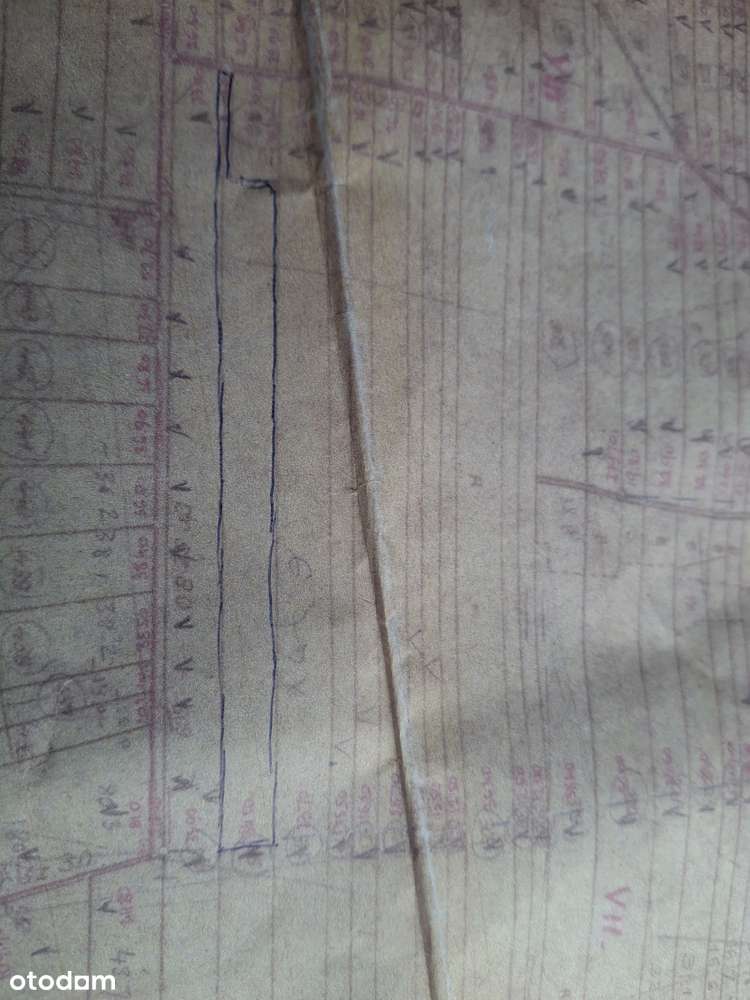 Sprzedam 3 działki i 200-letni Las - Pełny obrazek: 4/4