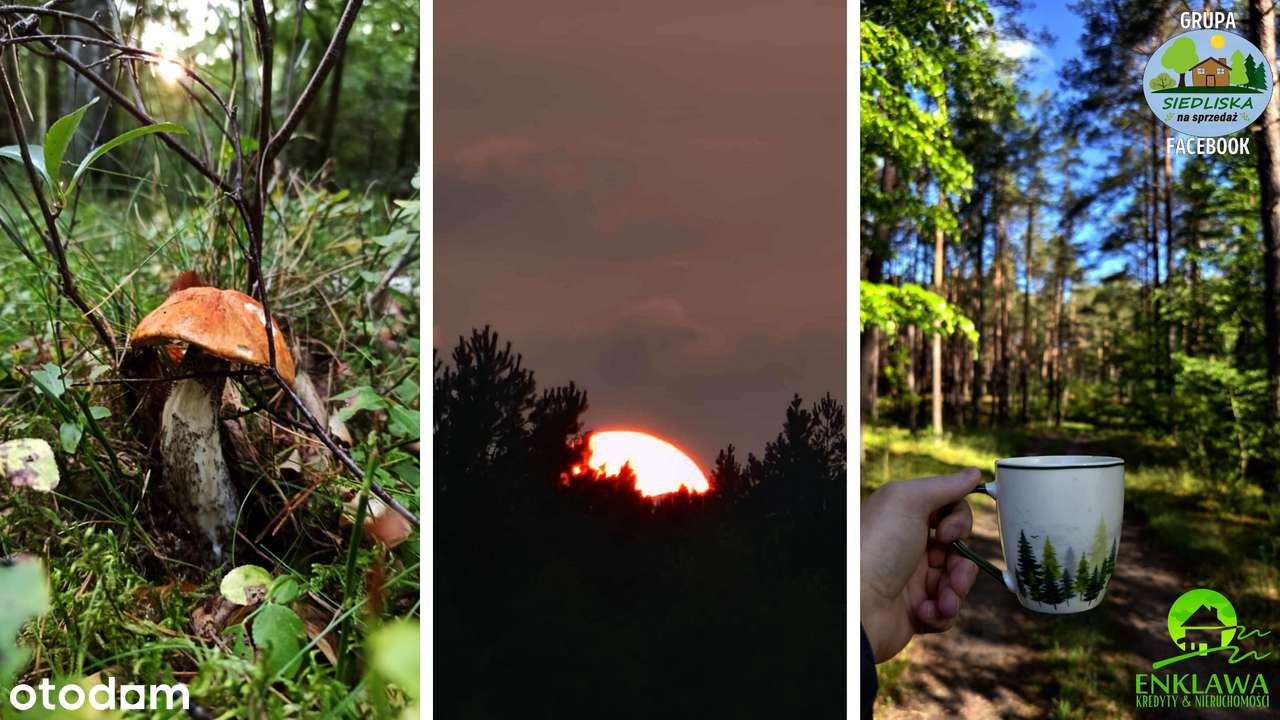 ENKLAWA prezentuje: działka w MEGA okolicy! PUSZCZA NOTECKA + jezioro!-17