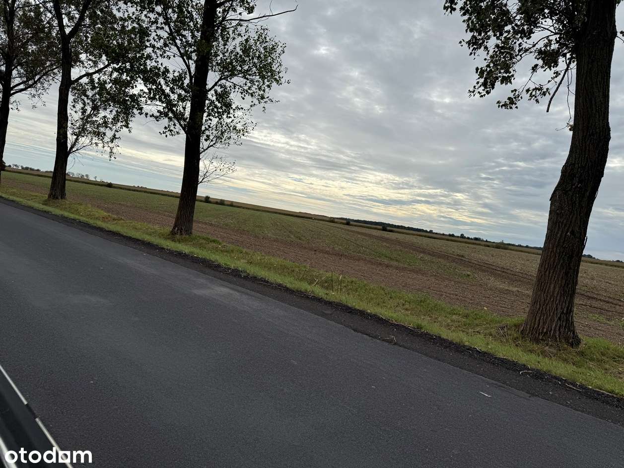 Działka w Korfantowie-3