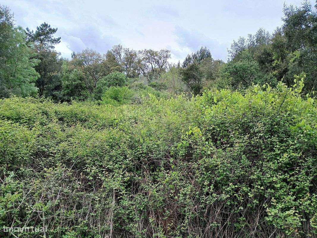 Terreno  para venda-4