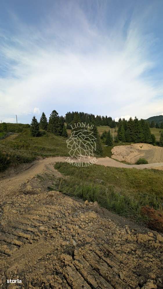 OFERTA! 11 Parcele teren intravilan-Piatra Fantanele, Castel Dracula - Imagine principală: 5/5