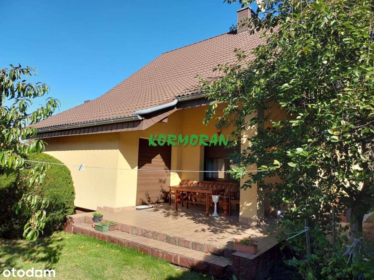 Jednorodzinny do odświerzenia w super lokalizacji-14