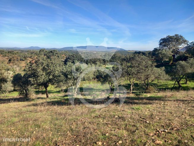 Monte Alentejano - Concelho de Serpa-24