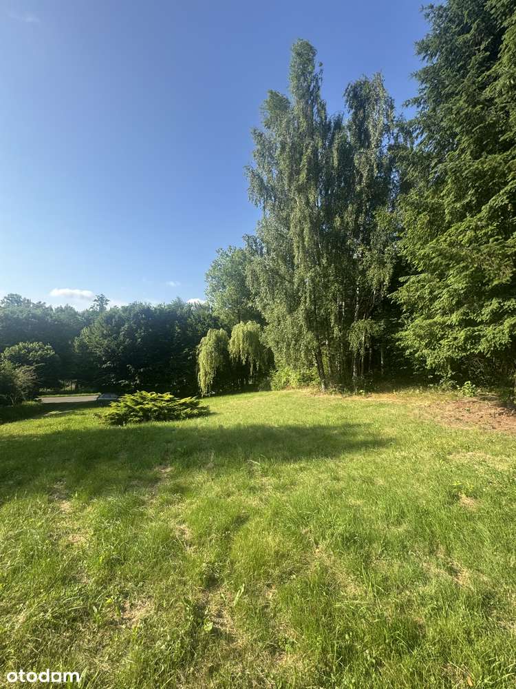 Klimatyczna, zadrzewiona działka w Uniszowicach. - Pełny obrazek: 4/12