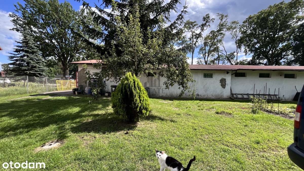 Powierzchnia magazynowa, obiekt usługi handel-8