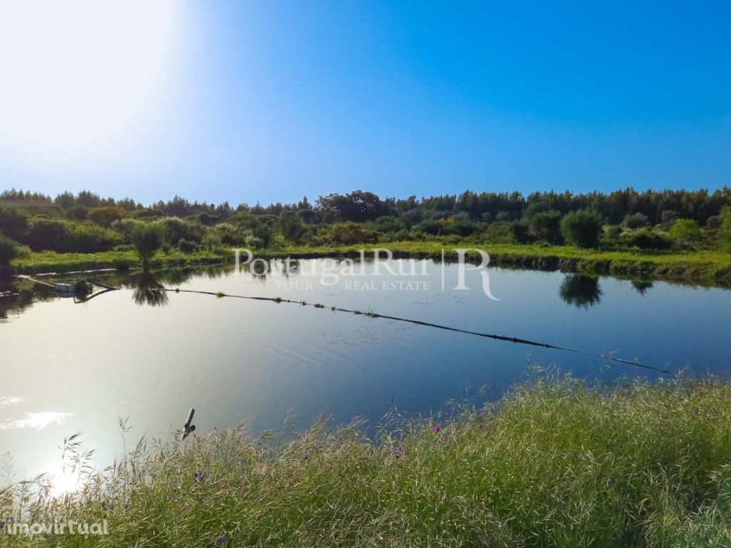 Quinta de produção biológica com cerca de 5 hectares