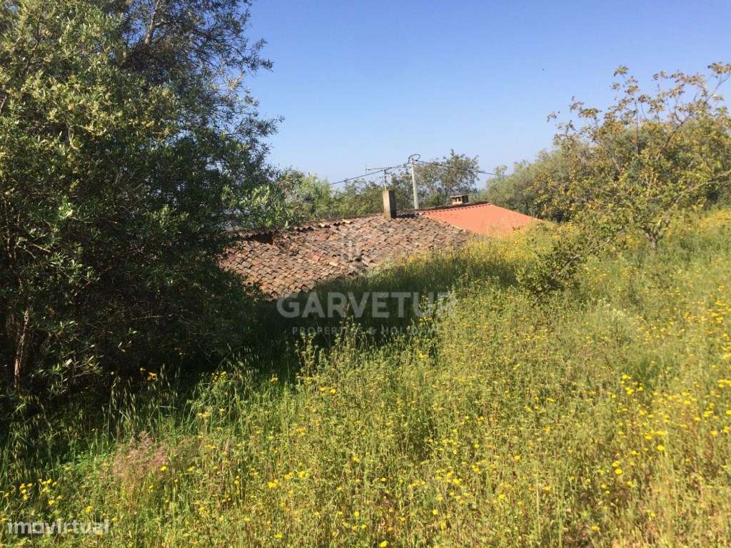 Moradia em ruina para recuperar, Querença, Algarve - Grande imagem: 4/12