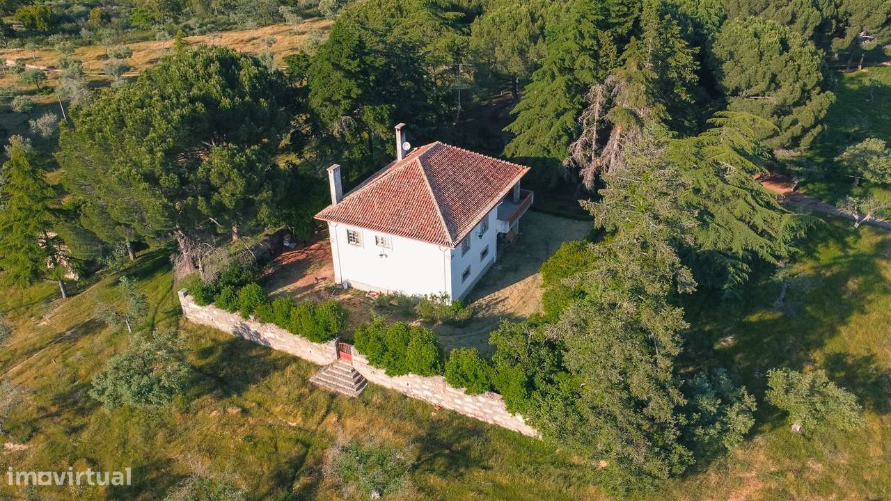 Herdade >=T10 Venda em Castelo Branco,Castelo Branco - Grande imagem: 5/60